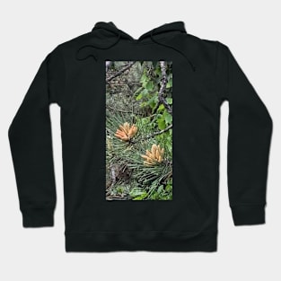 Pine flower Hoodie